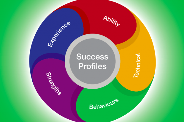A coloured pie chart with 5 segments: Experience, Ability, Technical, Strengths, Behaviours.